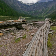 avalanche lake with log.jpg